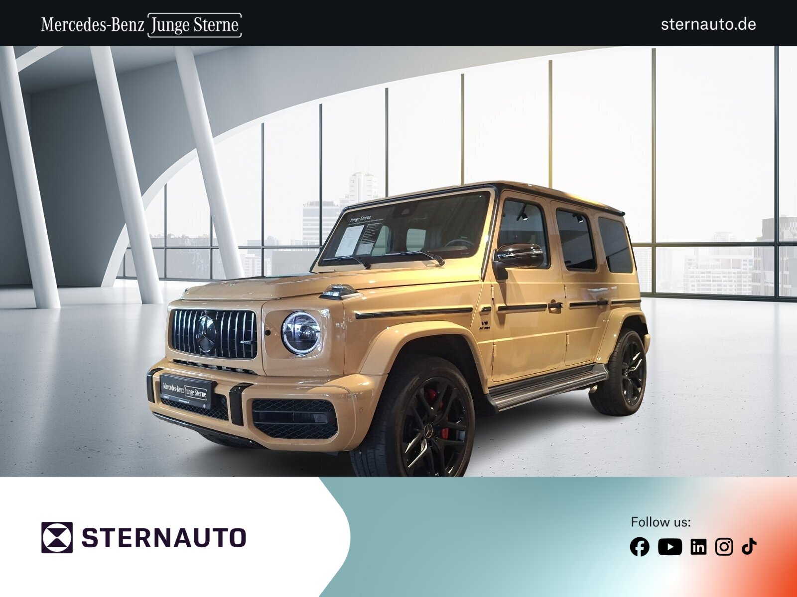 Mercedes-Benz G 63 AMG SHD Night-P Multi-Beam AHK 360°Cam Wide